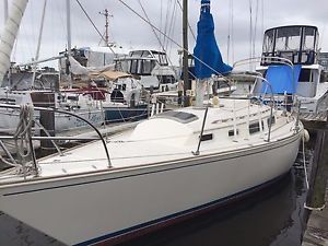 Sabre 30 1981 Sailboat
