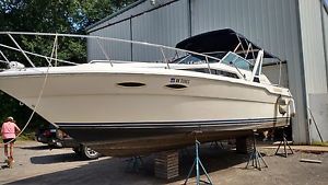 1988 Sea Ray 300