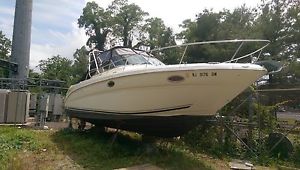 2004 Sea Ray amberjack